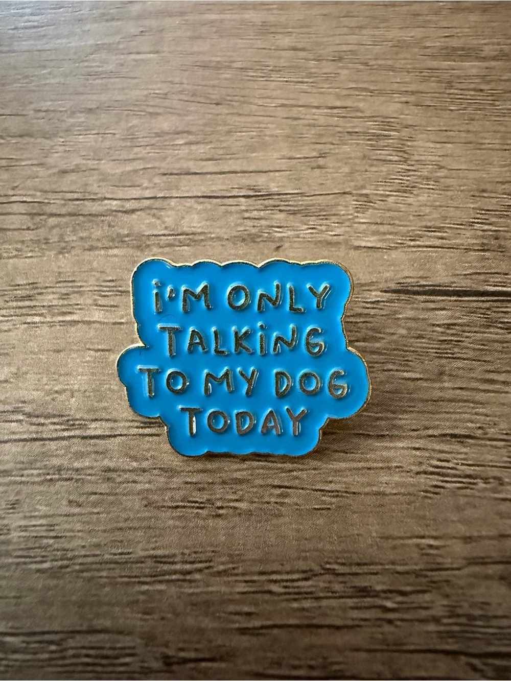 Blue Enamel Pet Pin - "I'm Only Talking To My Dog Today"